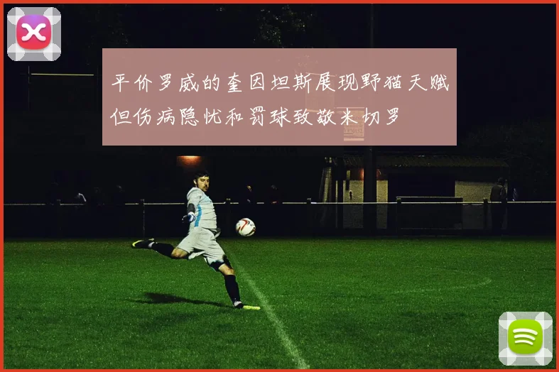平价罗威的奎因坦斯展现野猫天赋但伤病隐忧和罚球致敬米切罗